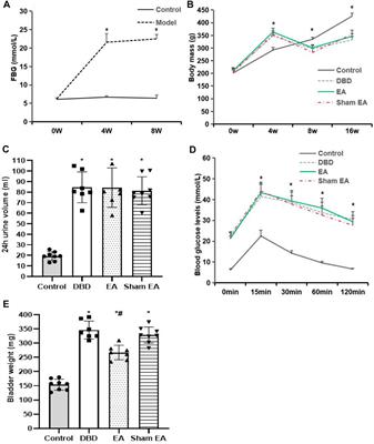 Effects of electroacupuncture on bladder dysfunction and the expression of PACAP38 in a diabetic rat model